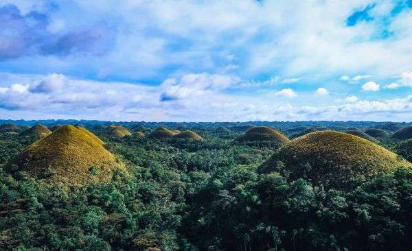 Best Time to Visit Bohol and Things To Do On Your Trip article  featured image